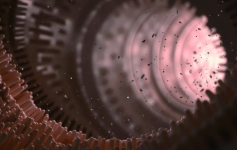 Motility